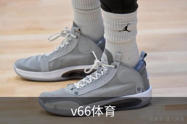 v66体育公司简介